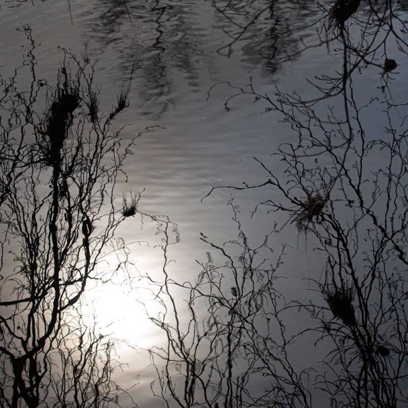 River, Reeds and&nbsp;Reflections